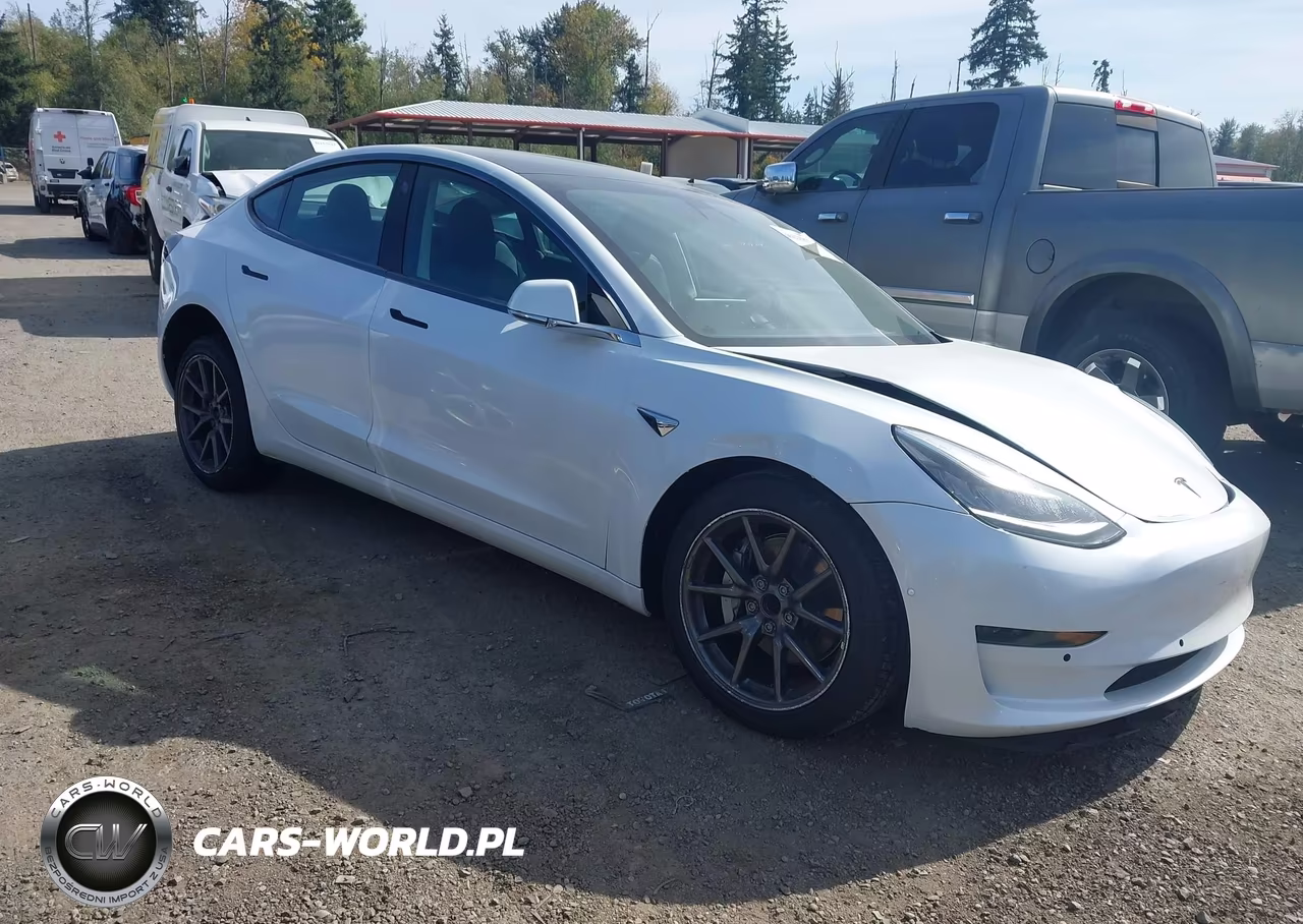 2020 Tesla Model 3 Standard Range Plus Rear-Wheel Drive-Standard Range Rear-Wheel Drive VIN:5YJ3E1EA6LF612960 - 1