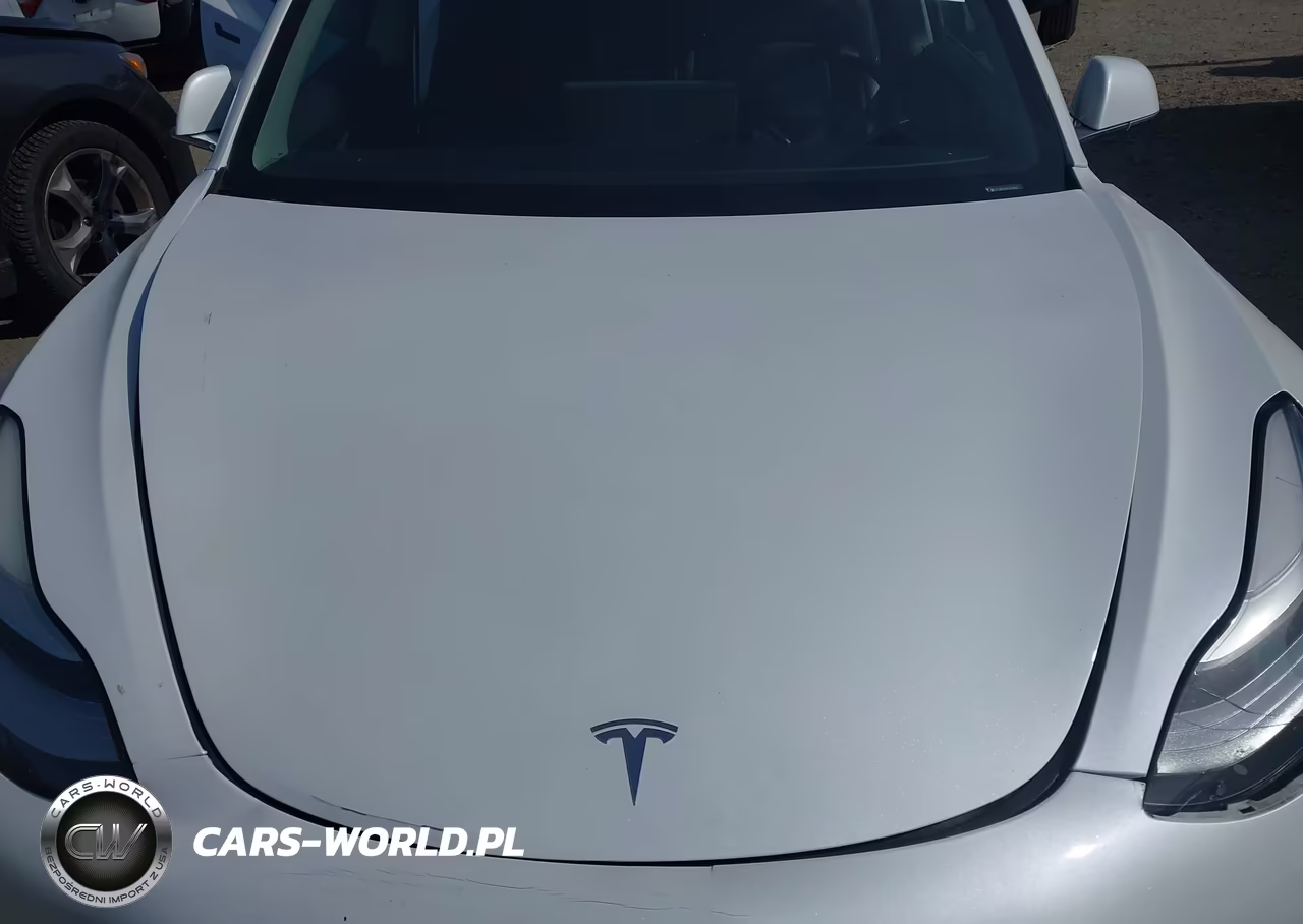 2020 Tesla Model 3 Standard Range Plus Rear-Wheel Drive-Standard Range Rear-Wheel Drive VIN:5YJ3E1EA6LF612960 - 10