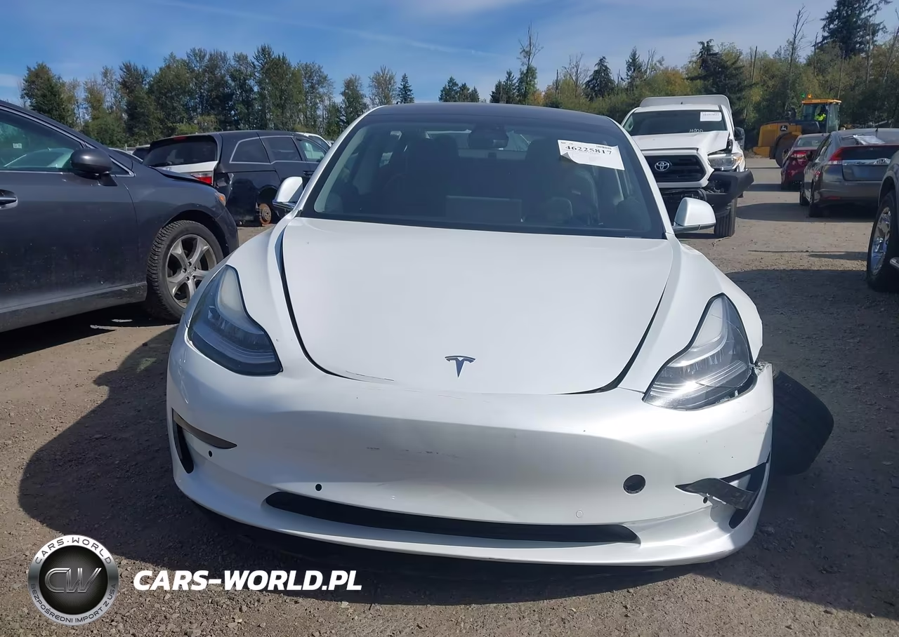 2020 Tesla Model 3 Standard Range Plus Rear-Wheel Drive-Standard Range Rear-Wheel Drive VIN:5YJ3E1EA6LF612960 - 11