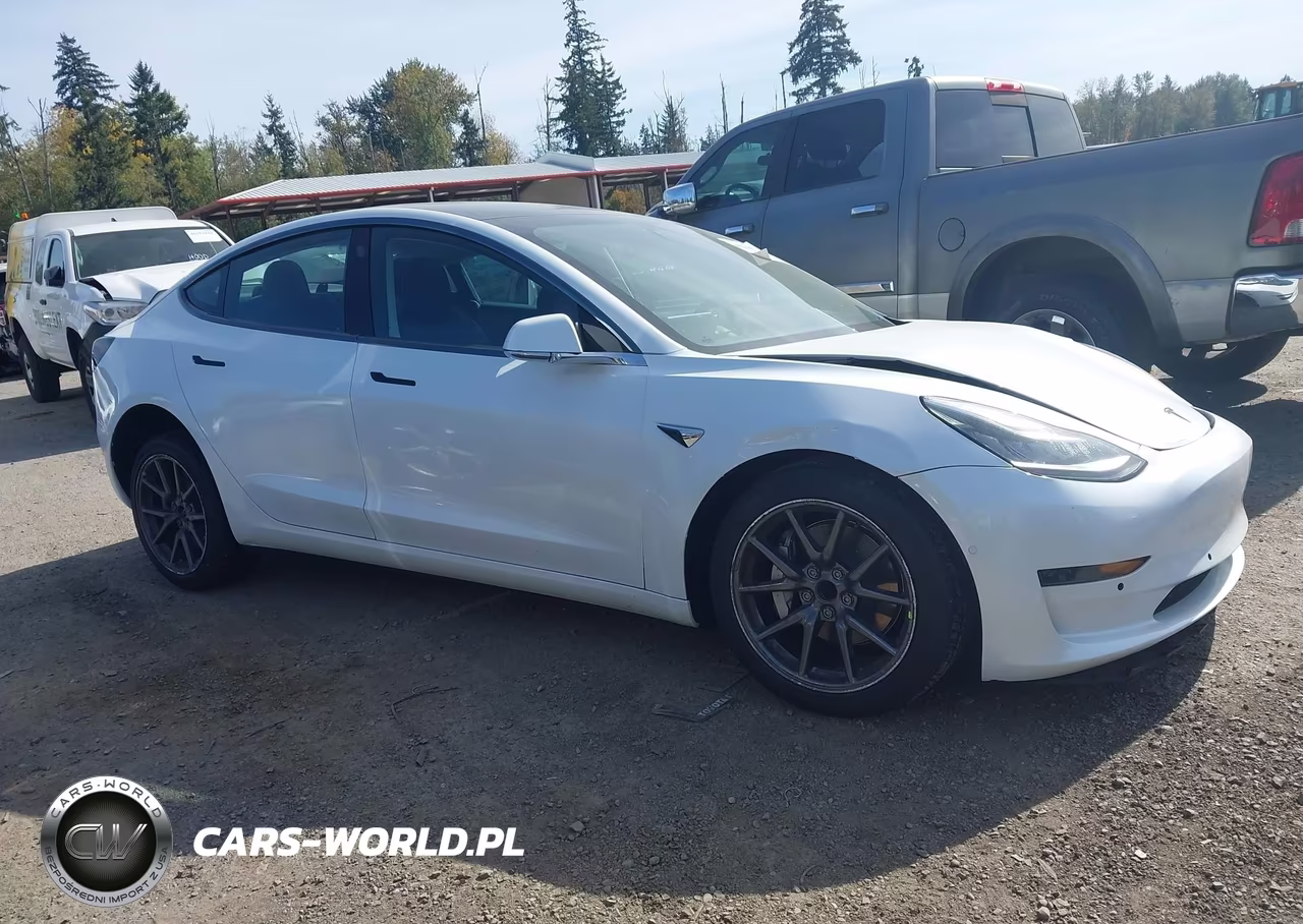 2020 Tesla Model 3 Standard Range Plus Rear-Wheel Drive-Standard Range Rear-Wheel Drive VIN:5YJ3E1EA6LF612960 - 12