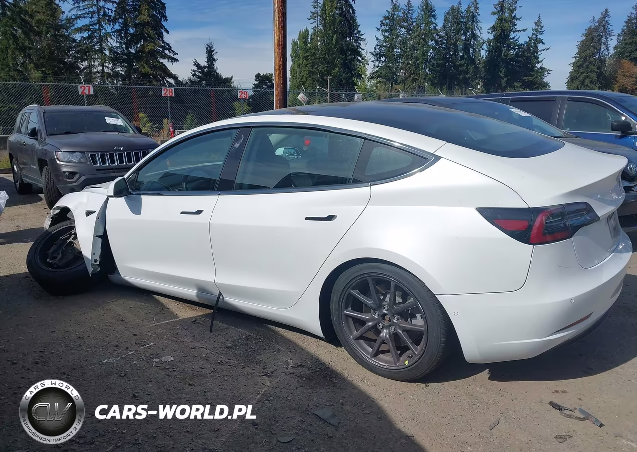 2020 Tesla Model 3 Standard Range Plus Rear-Wheel Drive-Standard Range Rear-Wheel Drive VIN:5YJ3E1EA6LF612960 - 13