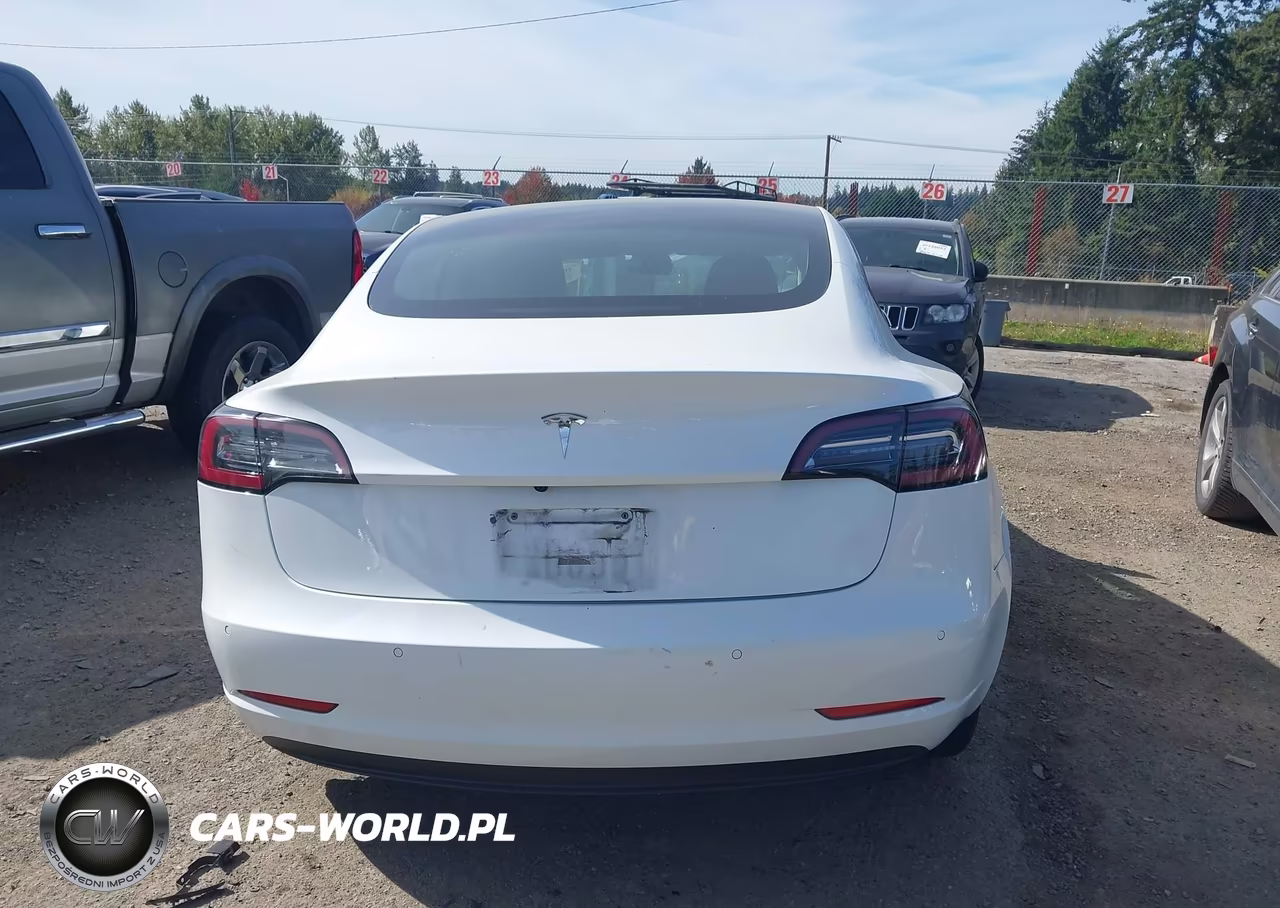 2020 Tesla Model 3 Standard Range Plus Rear-Wheel Drive-Standard Range Rear-Wheel Drive VIN:5YJ3E1EA6LF612960 - 15