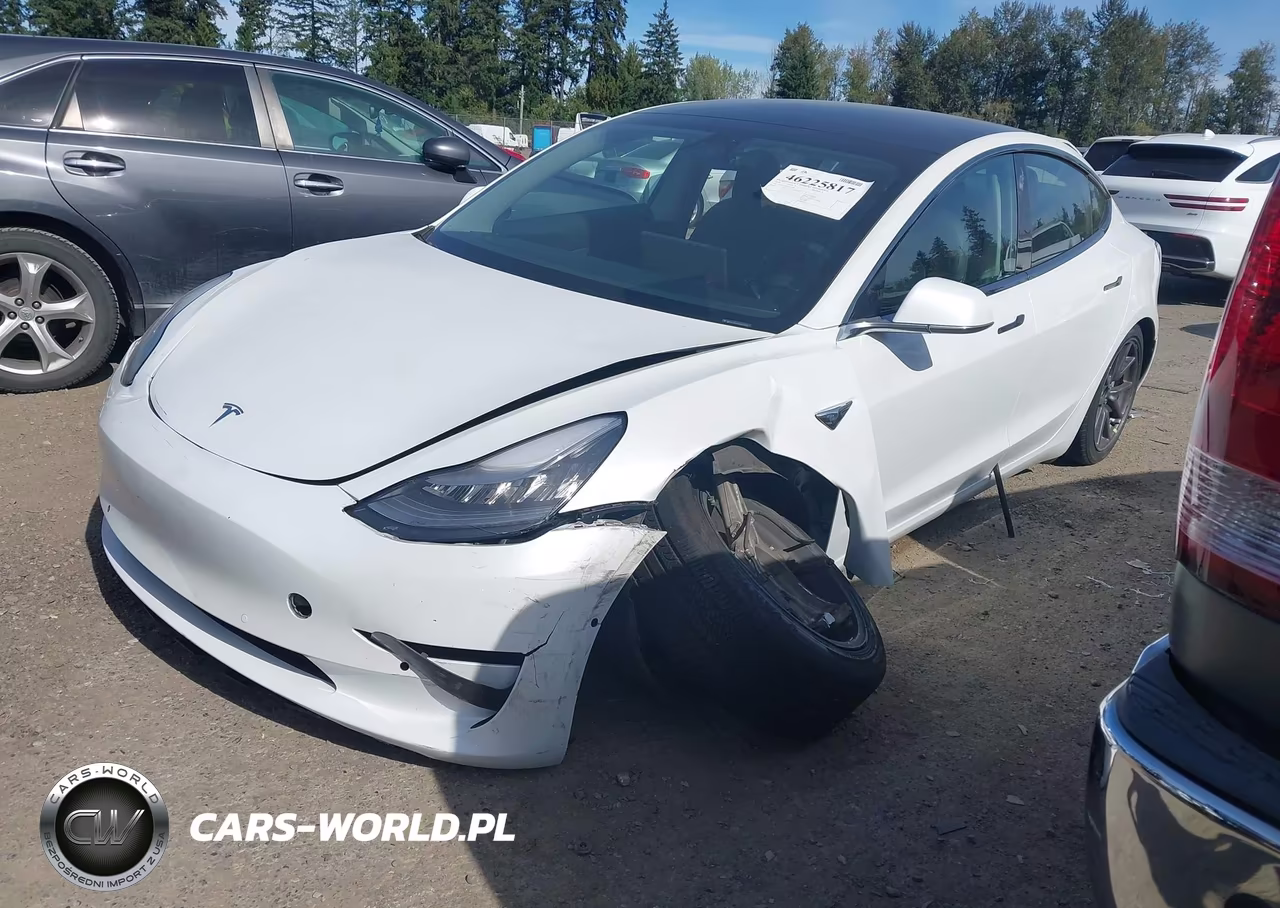 2020 Tesla Model 3 Standard Range Plus Rear-Wheel Drive-Standard Range Rear-Wheel Drive VIN:5YJ3E1EA6LF612960 - 2