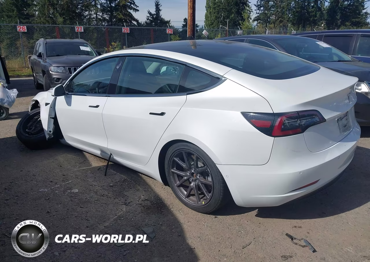 2020 Tesla Model 3 Standard Range Plus Rear-Wheel Drive-Standard Range Rear-Wheel Drive VIN:5YJ3E1EA6LF612960 - 3