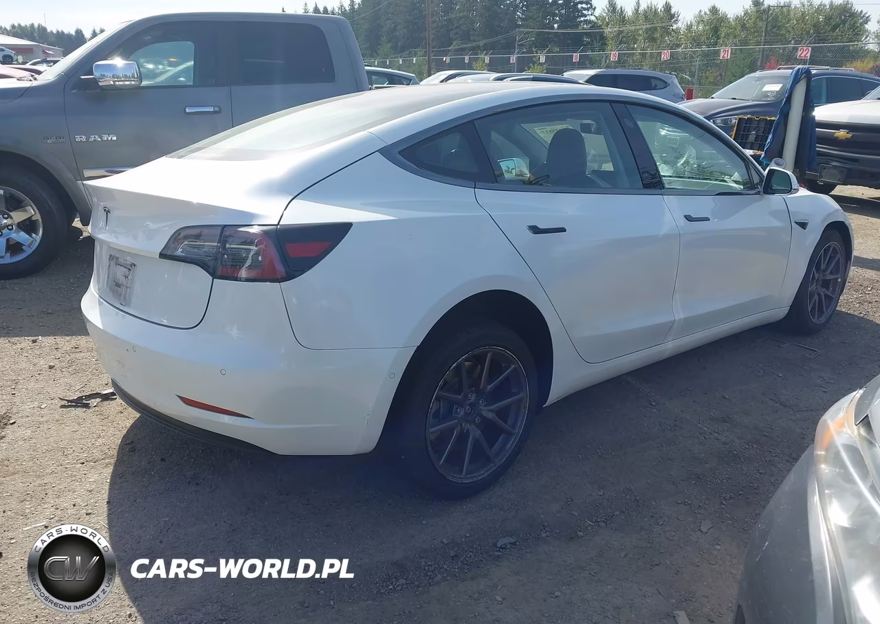 2020 Tesla Model 3 Standard Range Plus Rear-Wheel Drive-Standard Range Rear-Wheel Drive VIN:5YJ3E1EA6LF612960 - 4