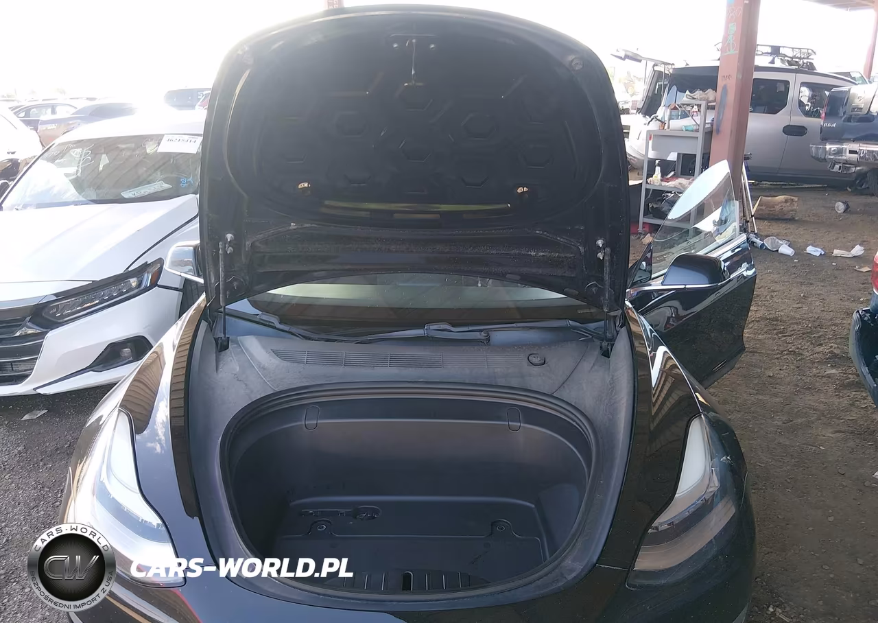 2019 Tesla Model 3 Long Range-Mid Range-Standard Range-Standard Range Plus VIN:5YJ3E1EA8KF484350 - 10