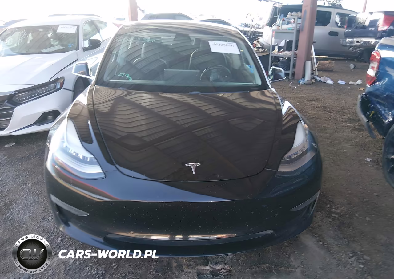 2019 Tesla Model 3 Long Range-Mid Range-Standard Range-Standard Range Plus VIN:5YJ3E1EA8KF484350 - 11