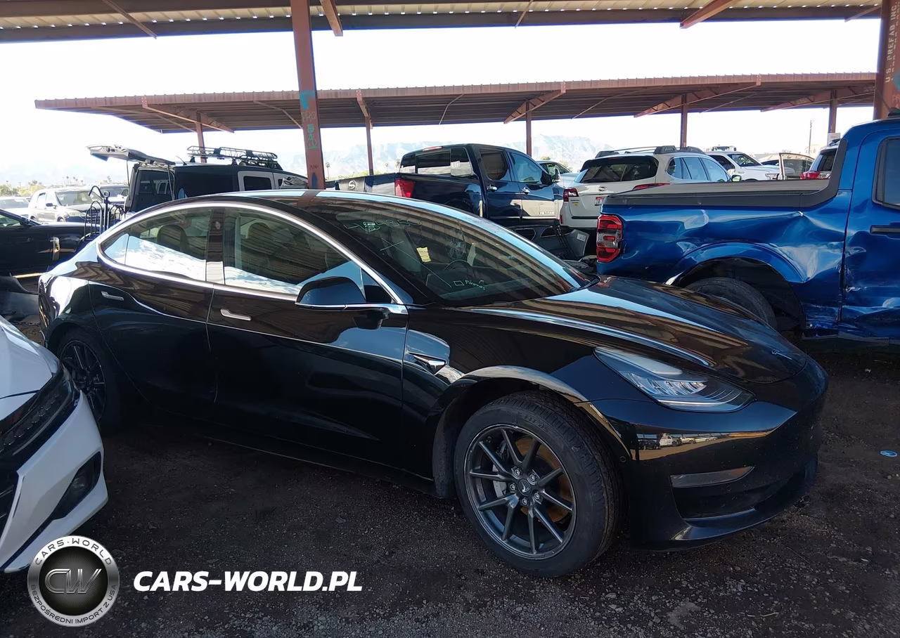 2019 Tesla Model 3 Long Range-Mid Range-Standard Range-Standard Range Plus VIN:5YJ3E1EA8KF484350 - 12