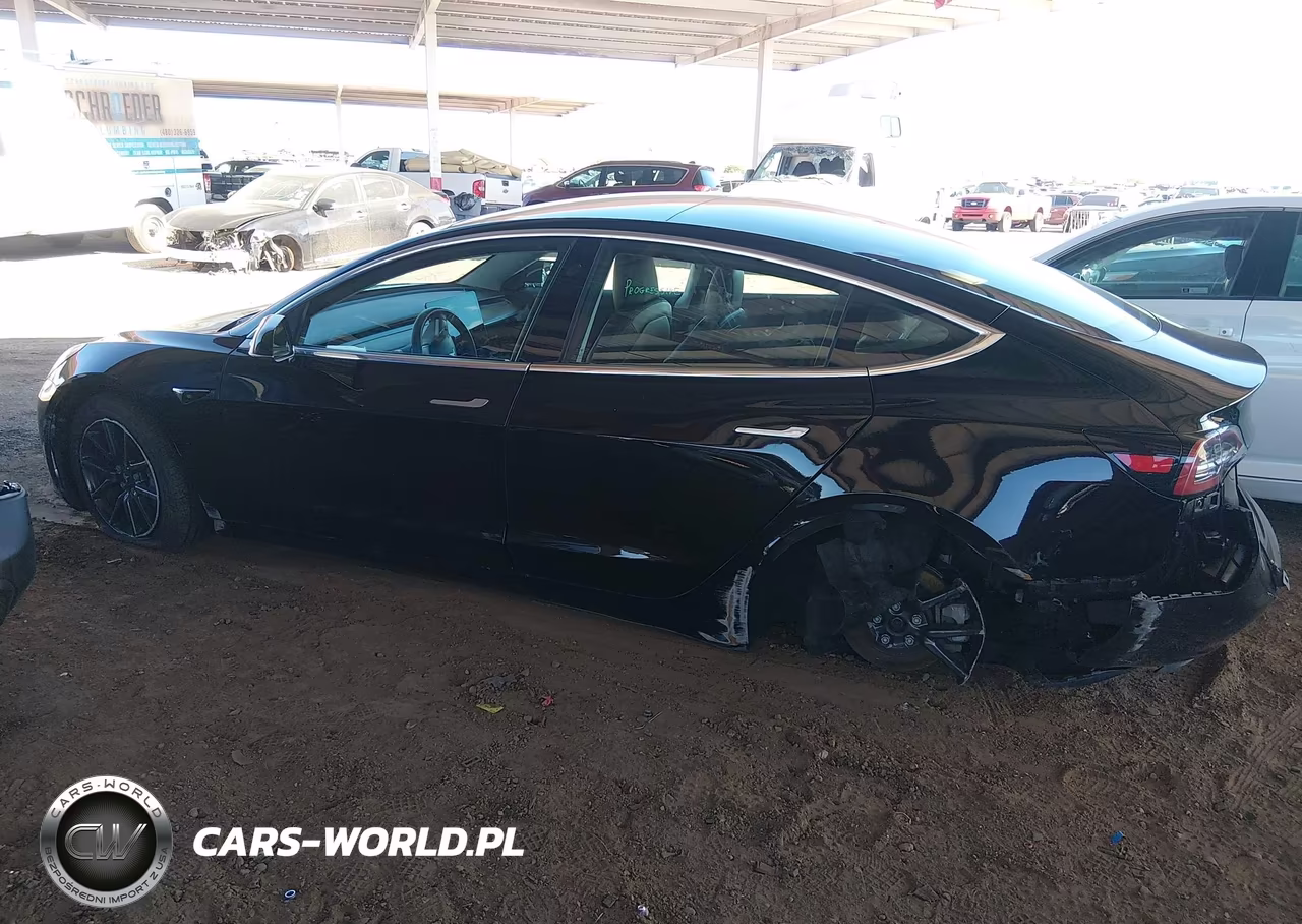 2019 Tesla Model 3 Long Range-Mid Range-Standard Range-Standard Range Plus VIN:5YJ3E1EA8KF484350 - 13