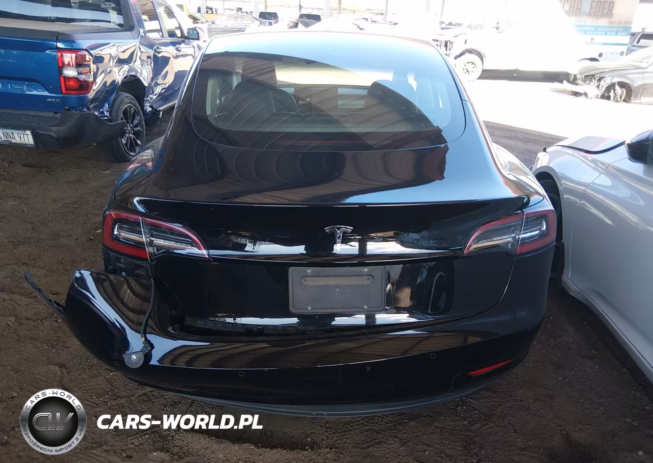 2019 Tesla Model 3 Long Range-Mid Range-Standard Range-Standard Range Plus VIN:5YJ3E1EA8KF484350 - 15