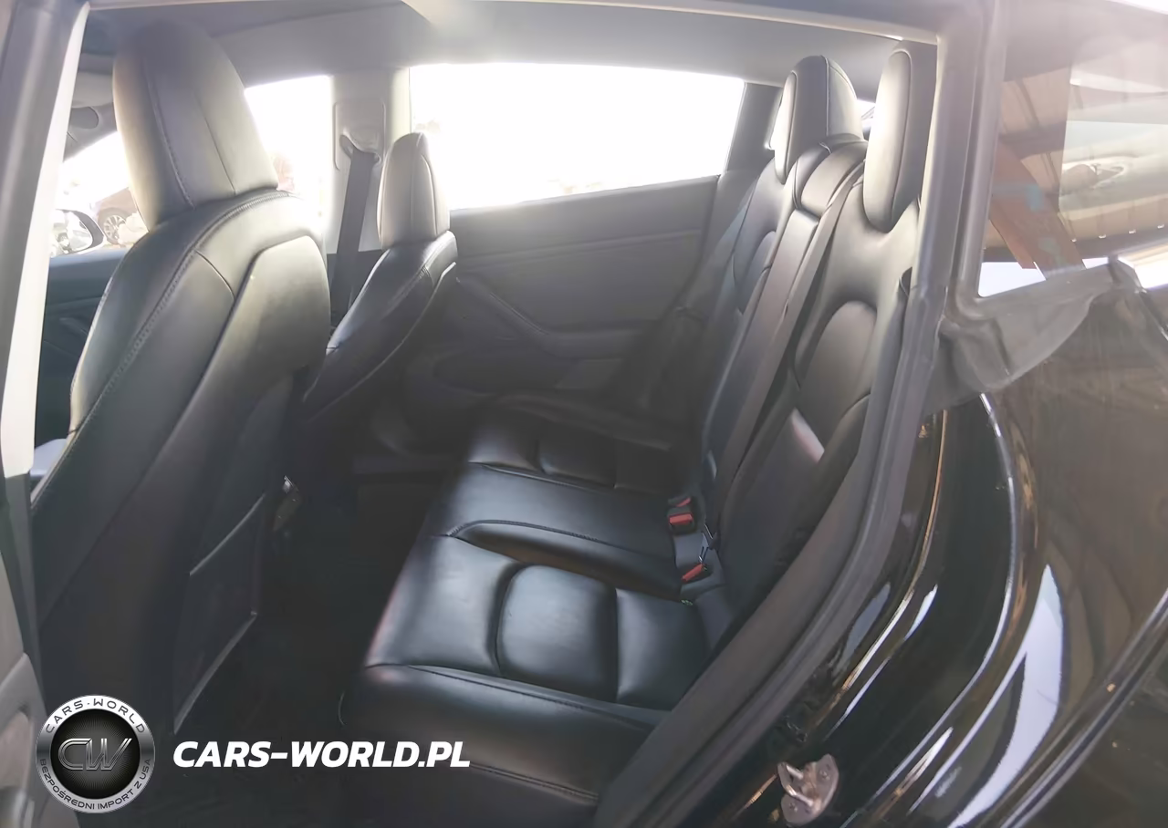 2019 Tesla Model 3 Long Range-Mid Range-Standard Range-Standard Range Plus VIN:5YJ3E1EA8KF484350 - 8