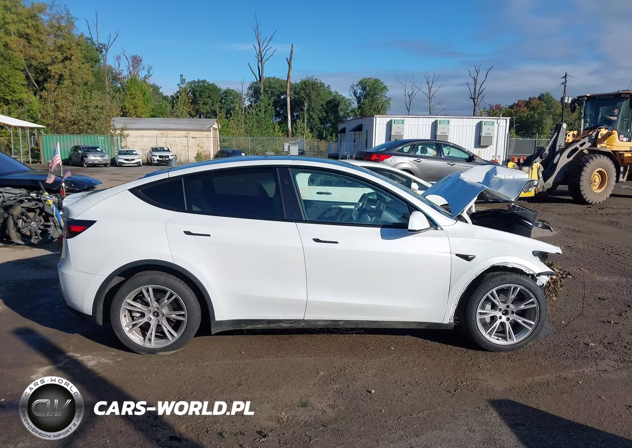2023 Tesla Model Y VIN:7SAYGDEE6PA207143 - 12