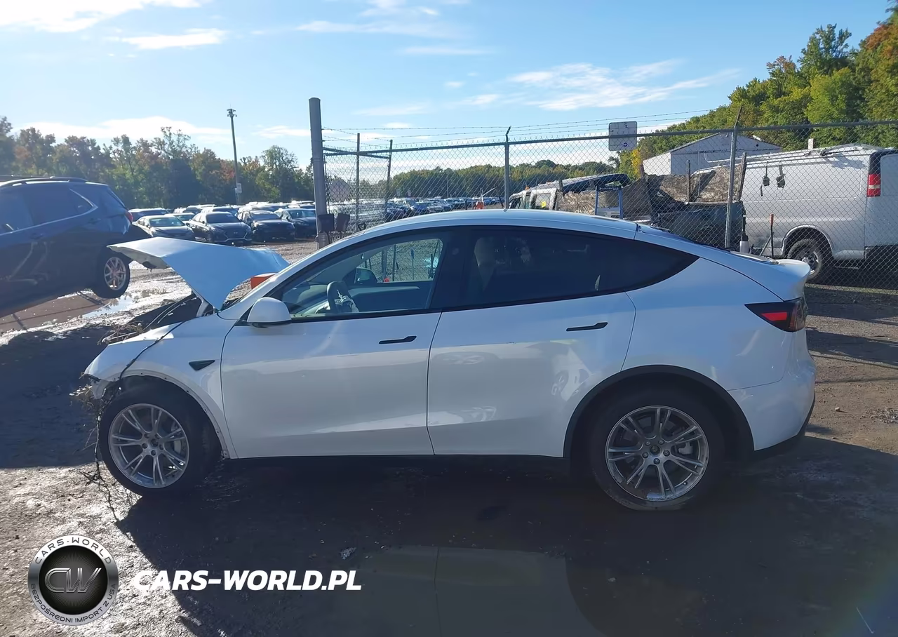 2023 Tesla Model Y VIN:7SAYGDEE6PA207143 - 13