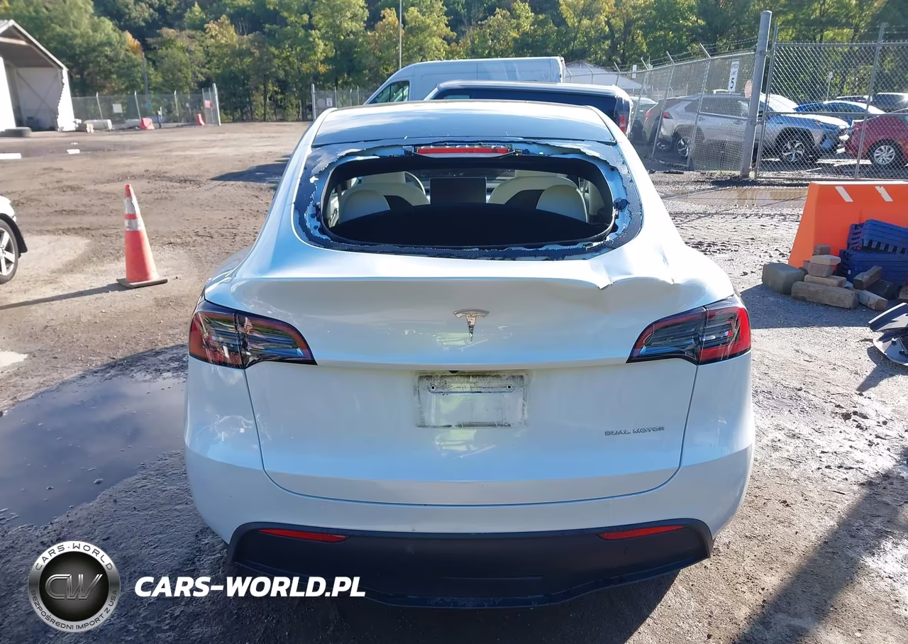 2023 Tesla Model Y VIN:7SAYGDEE6PA207143 - 15