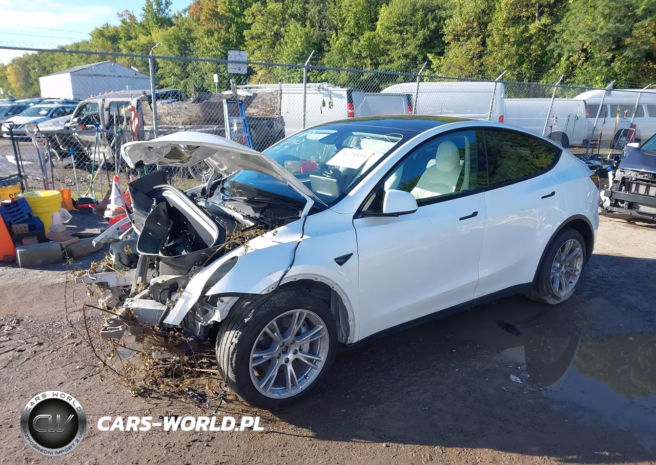 2023 Tesla Model Y VIN:7SAYGDEE6PA207143 - 2