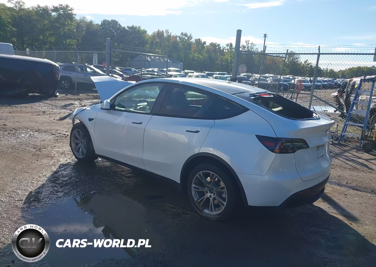 2023 Tesla Model Y VIN:7SAYGDEE6PA207143 - 3