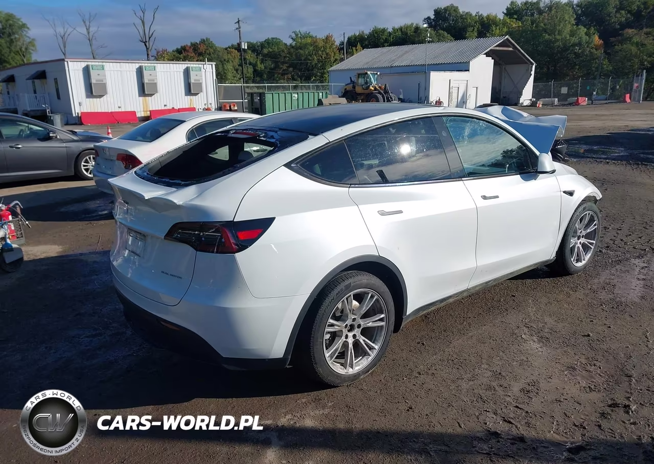 2023 Tesla Model Y VIN:7SAYGDEE6PA207143 - 4