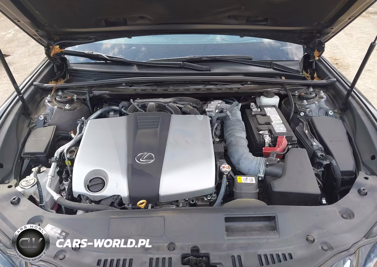 2024 Lexus Es 350 Ultra Luxury VIN:58AFZ1B11RU161902 - 10