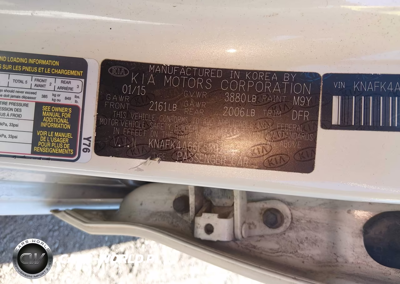 2015 Kia Forte Lx VIN:KNAFK4A66F5392666 - 9