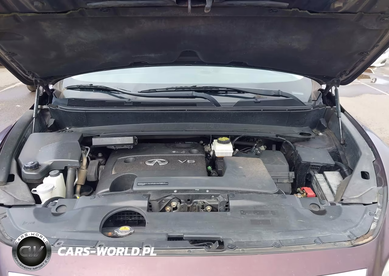 2015 Infiniti Qx60 VIN:5N1AL0MM5FC520965 - 10