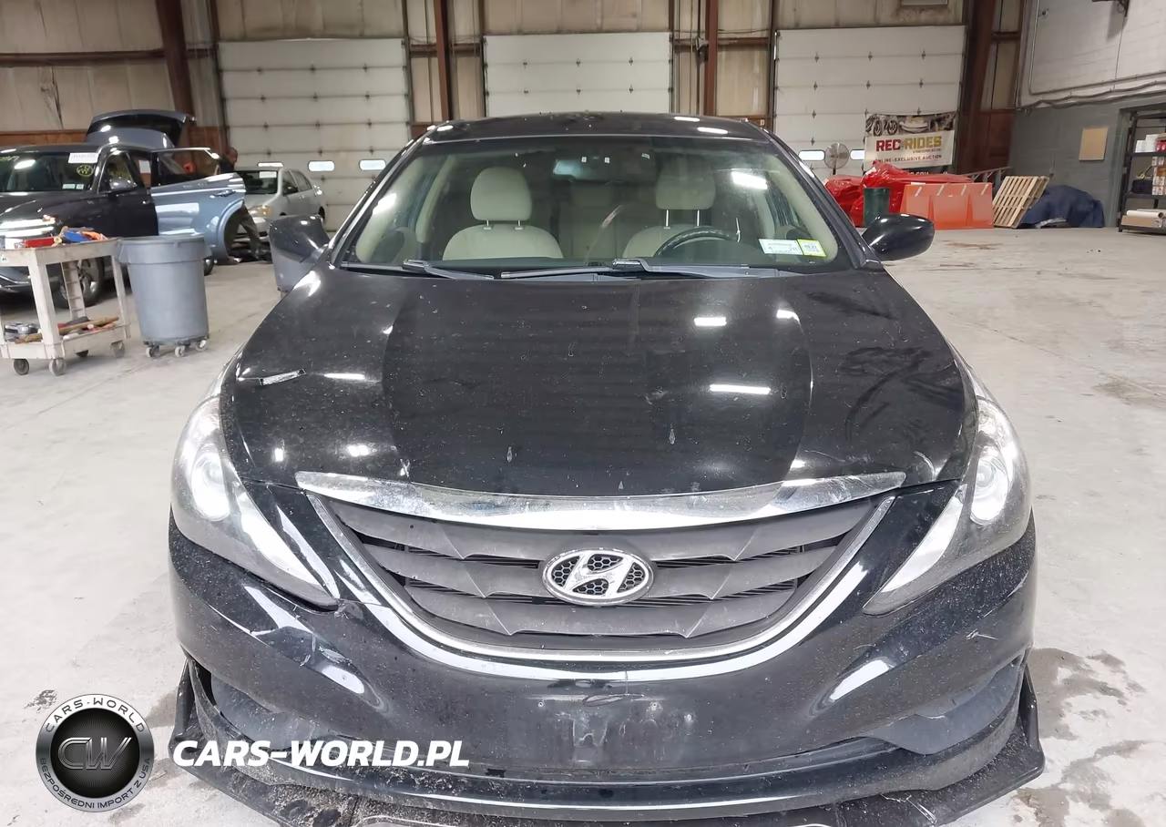 2014 Hyundai Sonata Gls VIN:5NPEB4AC9EH870257 - 12