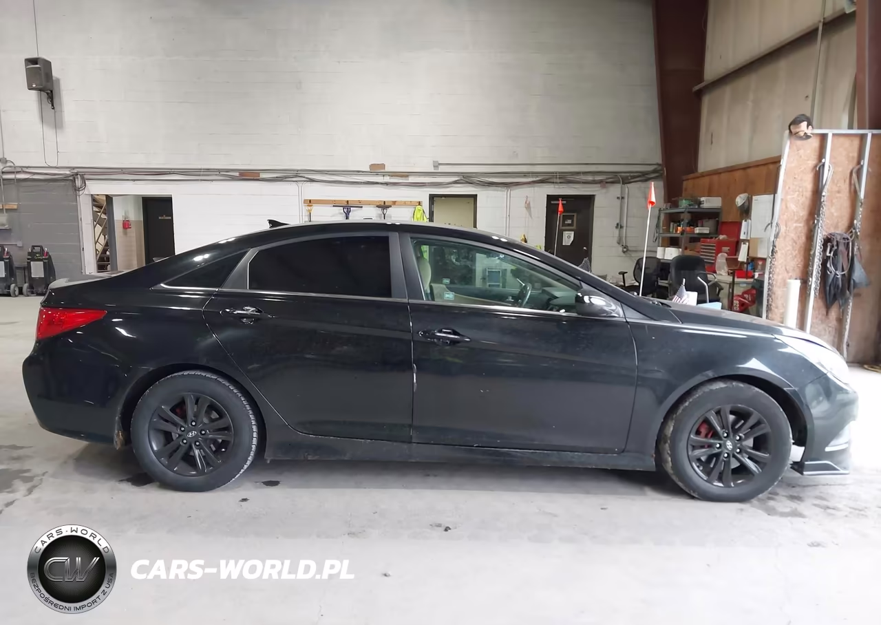 2014 Hyundai Sonata Gls VIN:5NPEB4AC9EH870257 - 13