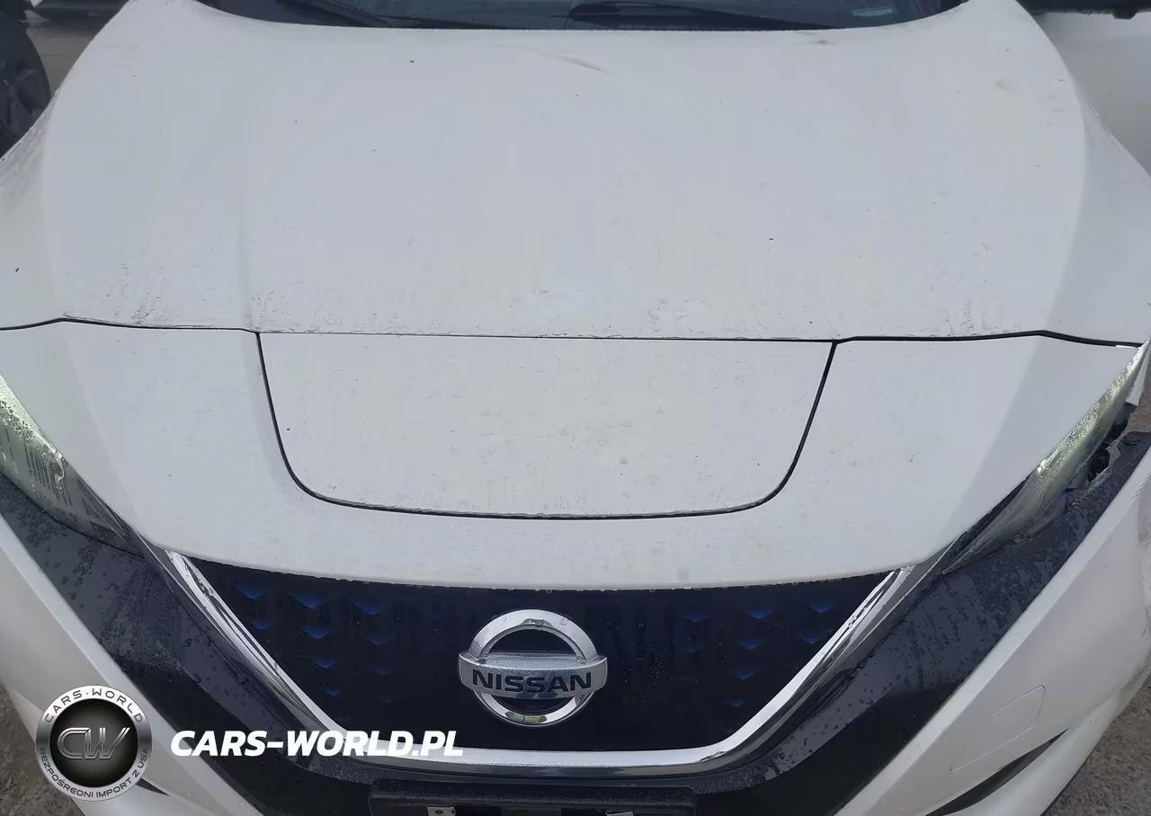 2022 Nissan Leaf Sv Plus 62 Kwh VIN:1N4BZ1CVXNC557733 - 10