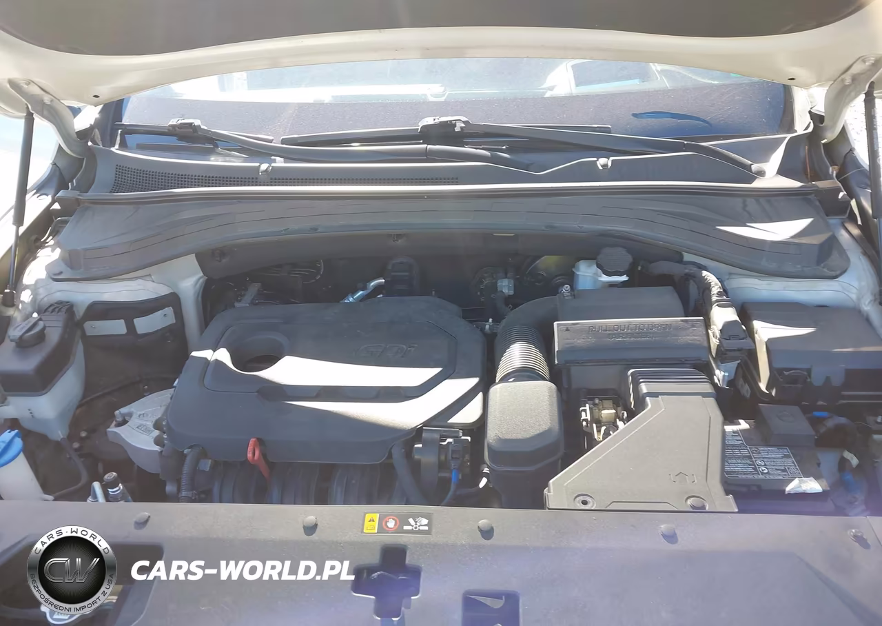 2020 Hyundai Santa Fe Limited VIN:5NMS53AD6LH259951 - 10