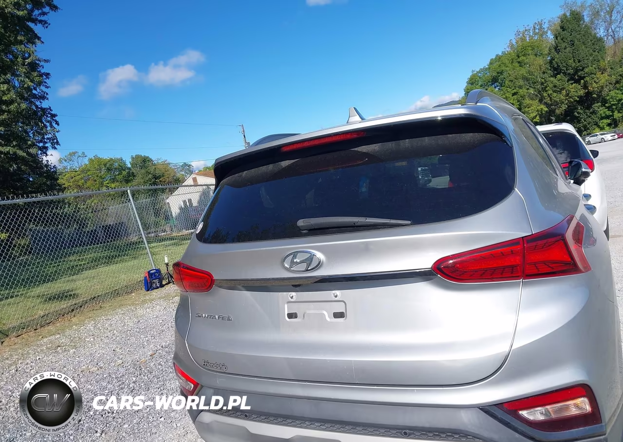 2020 Hyundai Santa Fe Limited VIN:5NMS53AD6LH259951 - 17