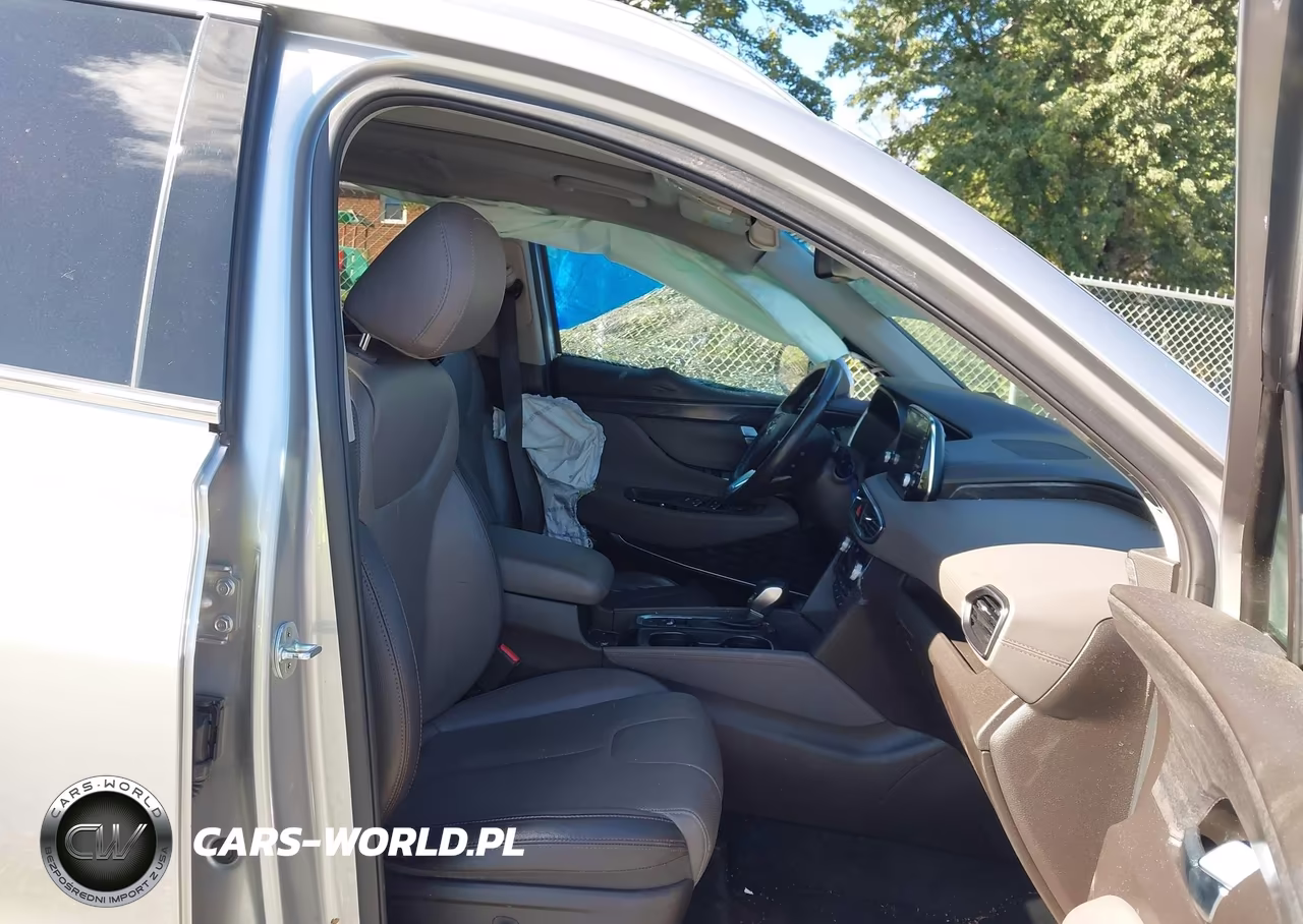 2020 Hyundai Santa Fe Limited VIN:5NMS53AD6LH259951 - 5