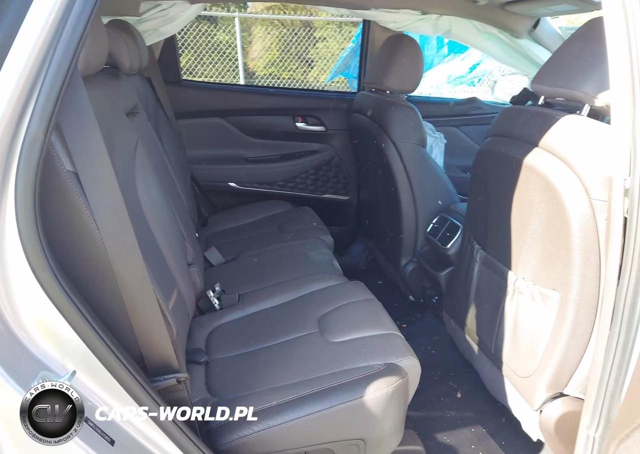 2020 Hyundai Santa Fe Limited VIN:5NMS53AD6LH259951 - 8