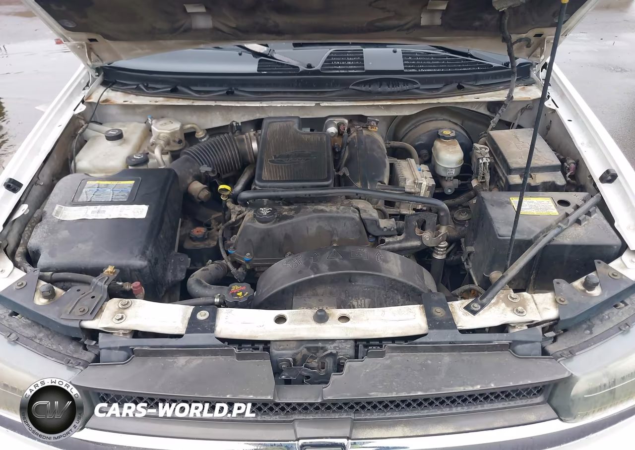 2002 Chevrolet Trailblazer Ls VIN:1GNDS13S922513454 - 10