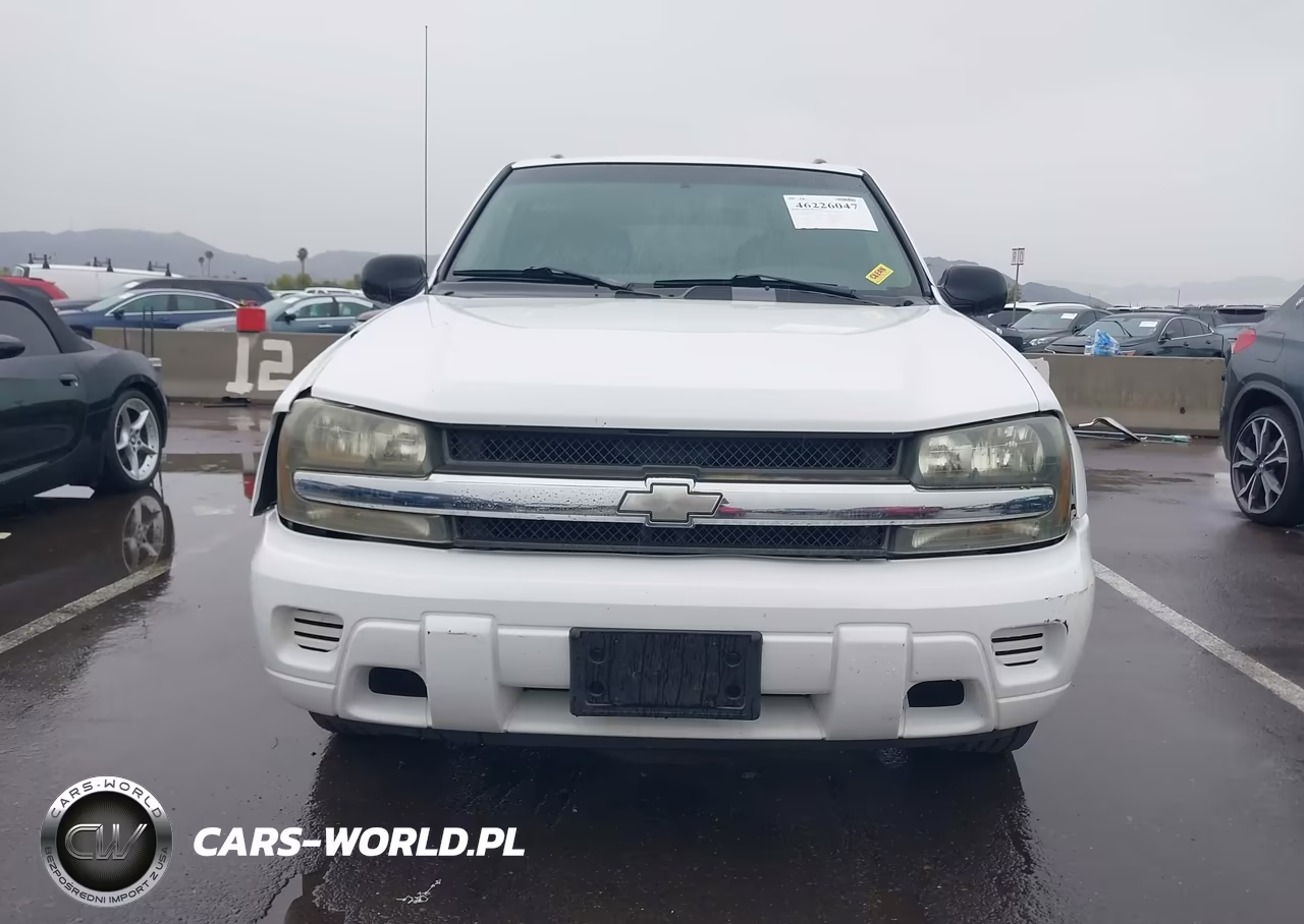 2002 Chevrolet Trailblazer Ls VIN:1GNDS13S922513454 - 12