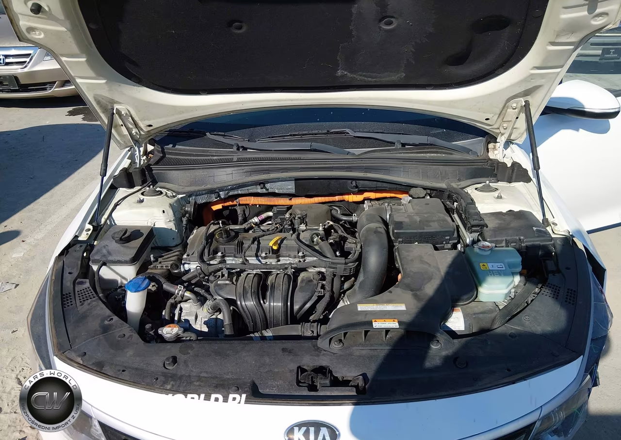 2017 Kia Optima Hybrid VIN:KNAGT4LC8H5004117 - 10
