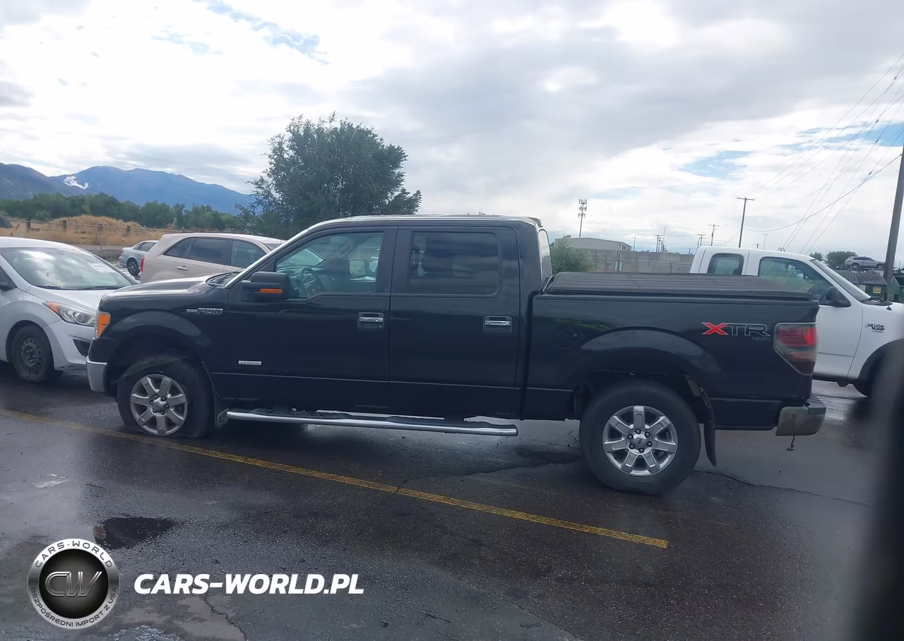 2014 Ford F-150 Xlt VIN:1FTFW1ET0EKG15399 - 14