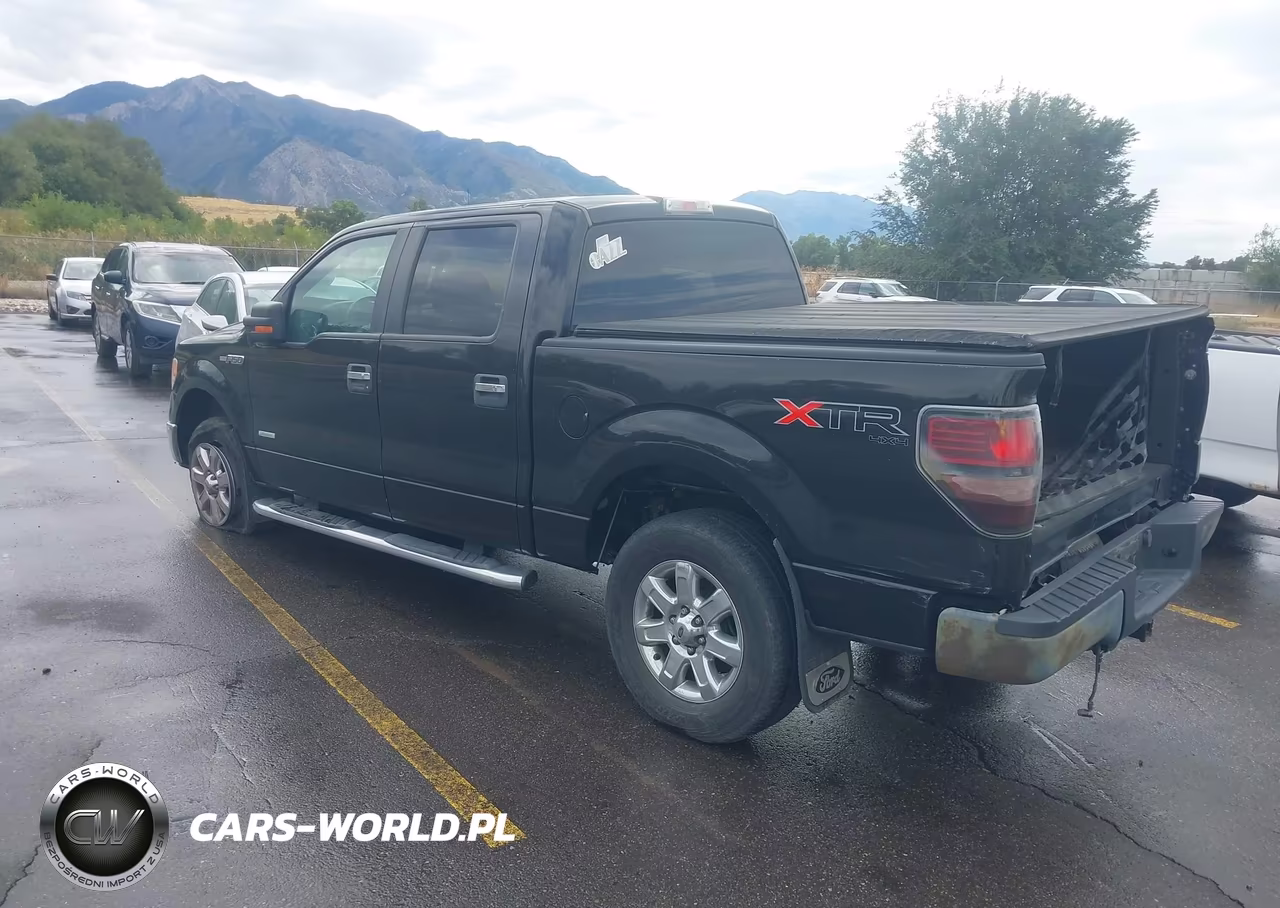 2014 Ford F-150 Xlt VIN:1FTFW1ET0EKG15399 - 3