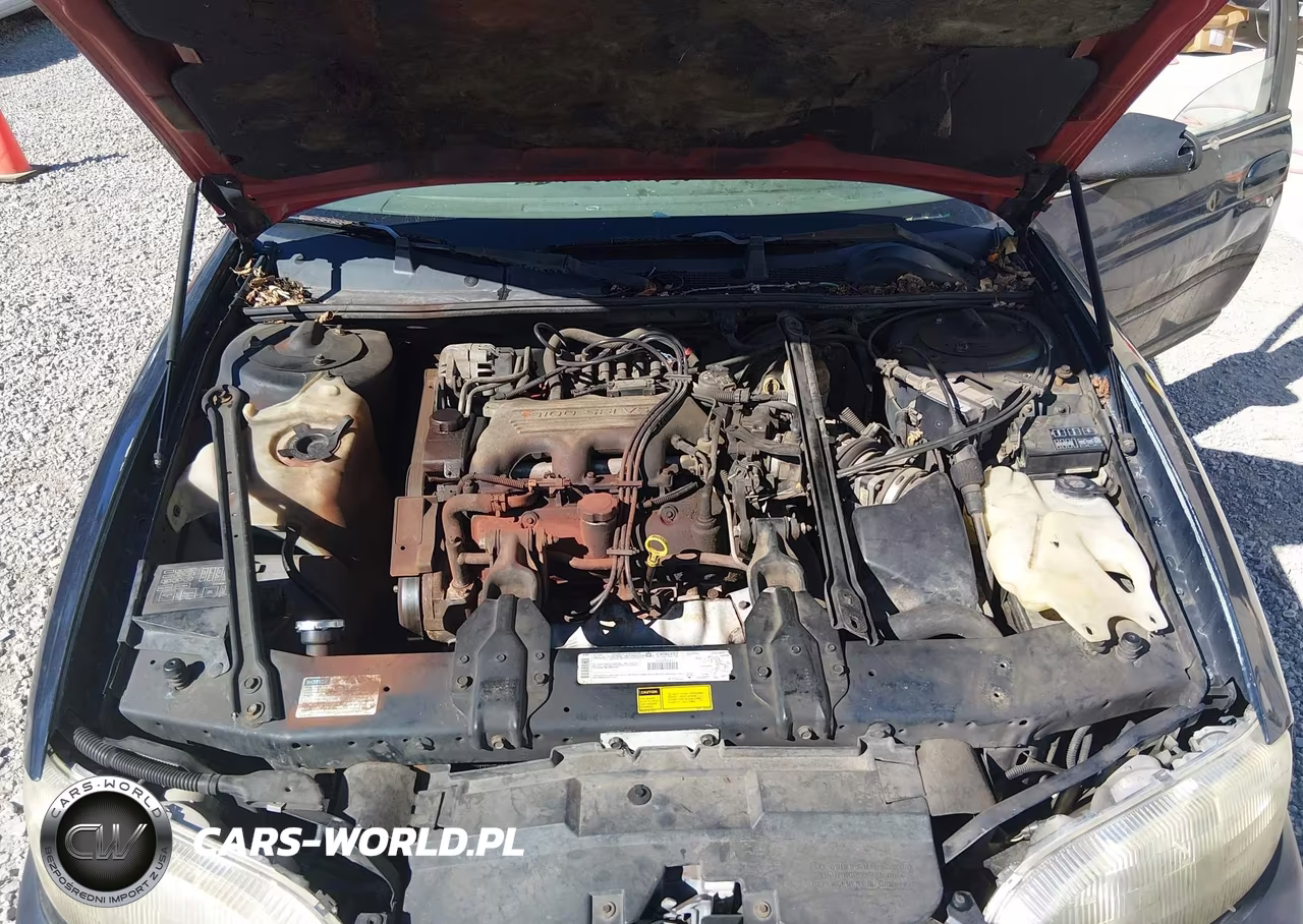 1999 Chevrolet Lumina VIN:2G1WL52M2X9198765 - 10