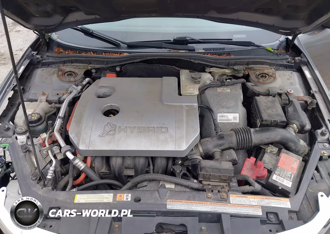 2010 Ford Fusion Hybrid VIN:3FADP0L36AR288746 - 10