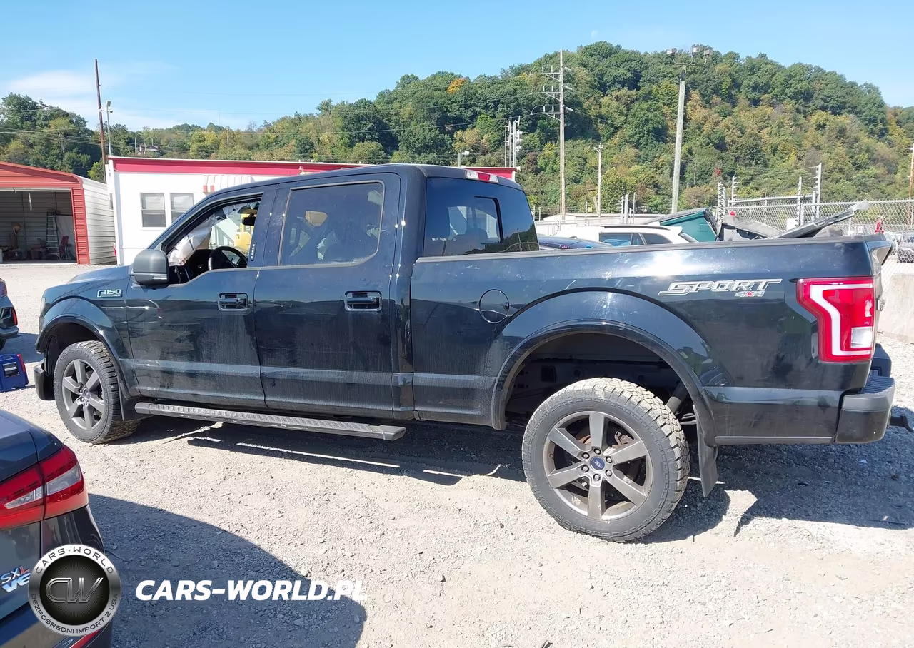 2016 Ford F-150 Xlt VIN:1FTFW1EFXGFD52697 - 15