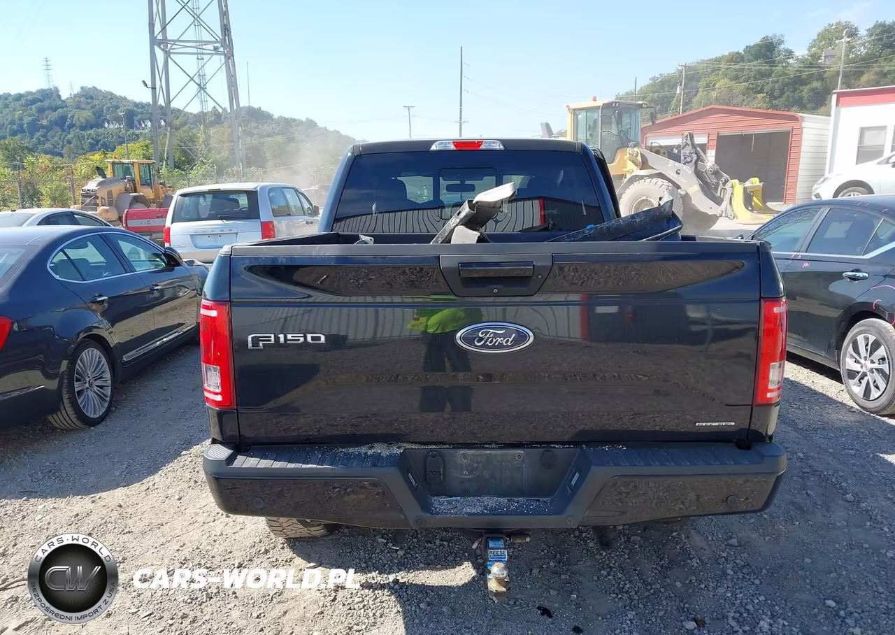 2016 Ford F-150 Xlt VIN:1FTFW1EFXGFD52697 - 17