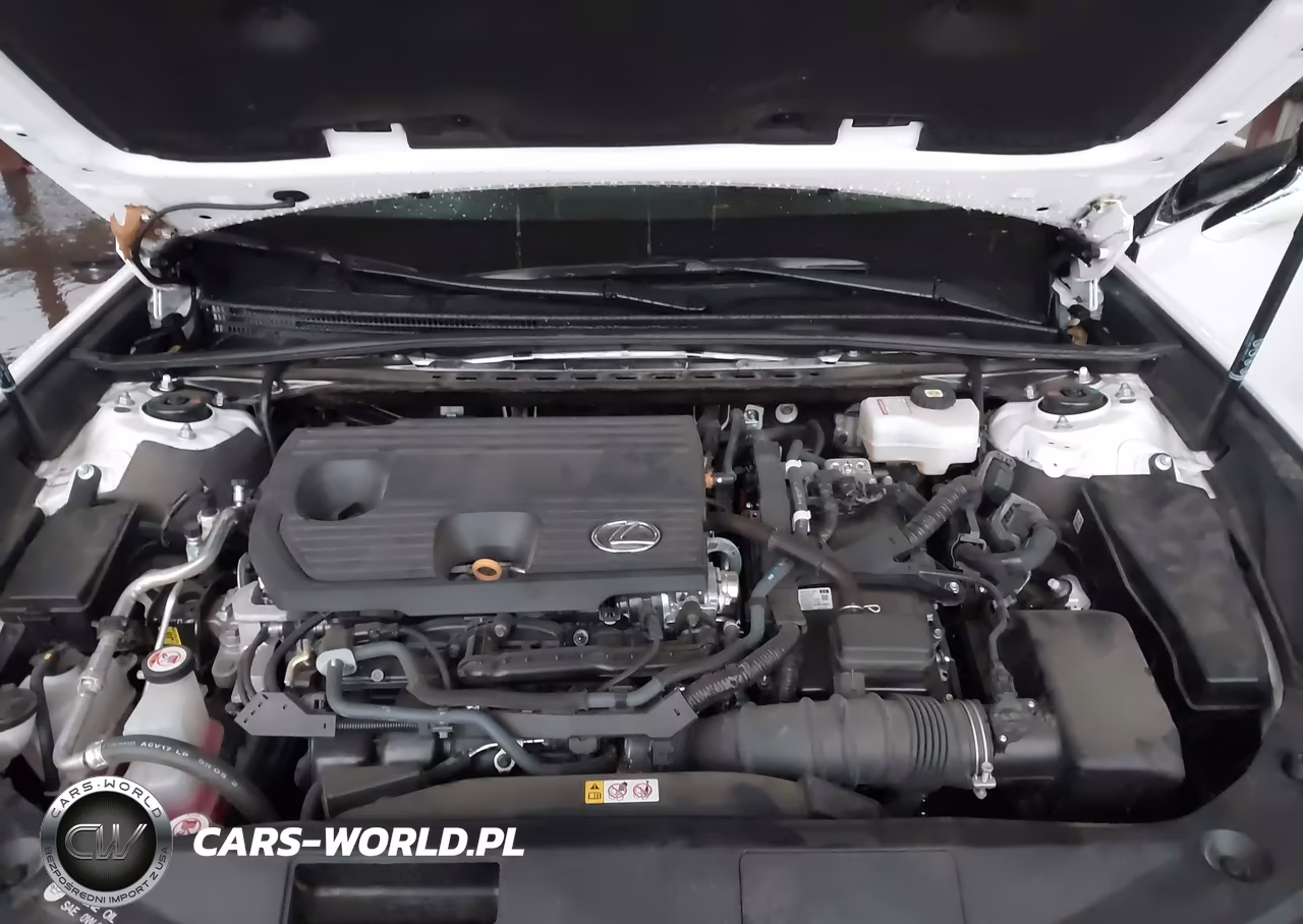 2025 Lexus Es 300H VIN:58ADA1C11SU063374 - 10