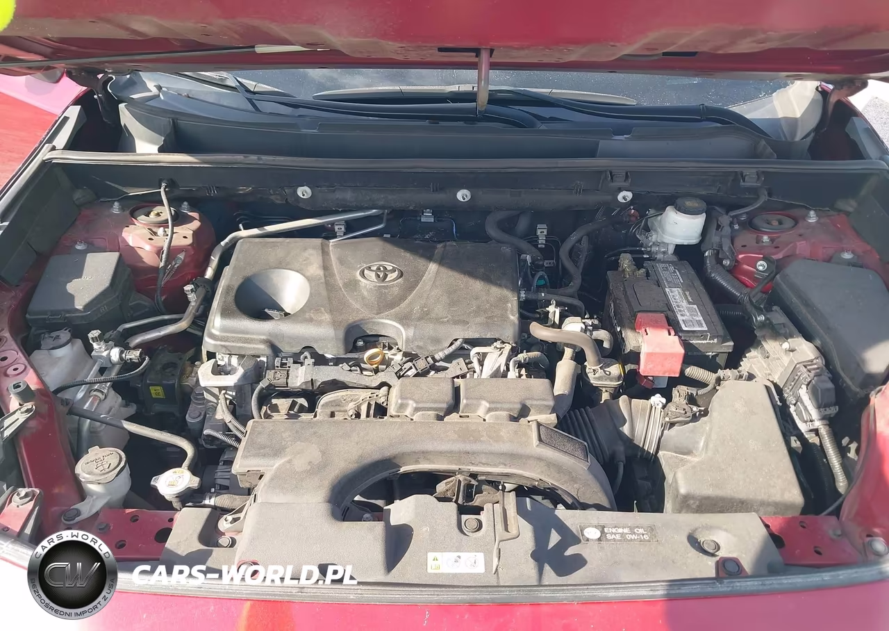 2019 Toyota Rav4 Le VIN:2T3H1RFV7KW042672 - 10