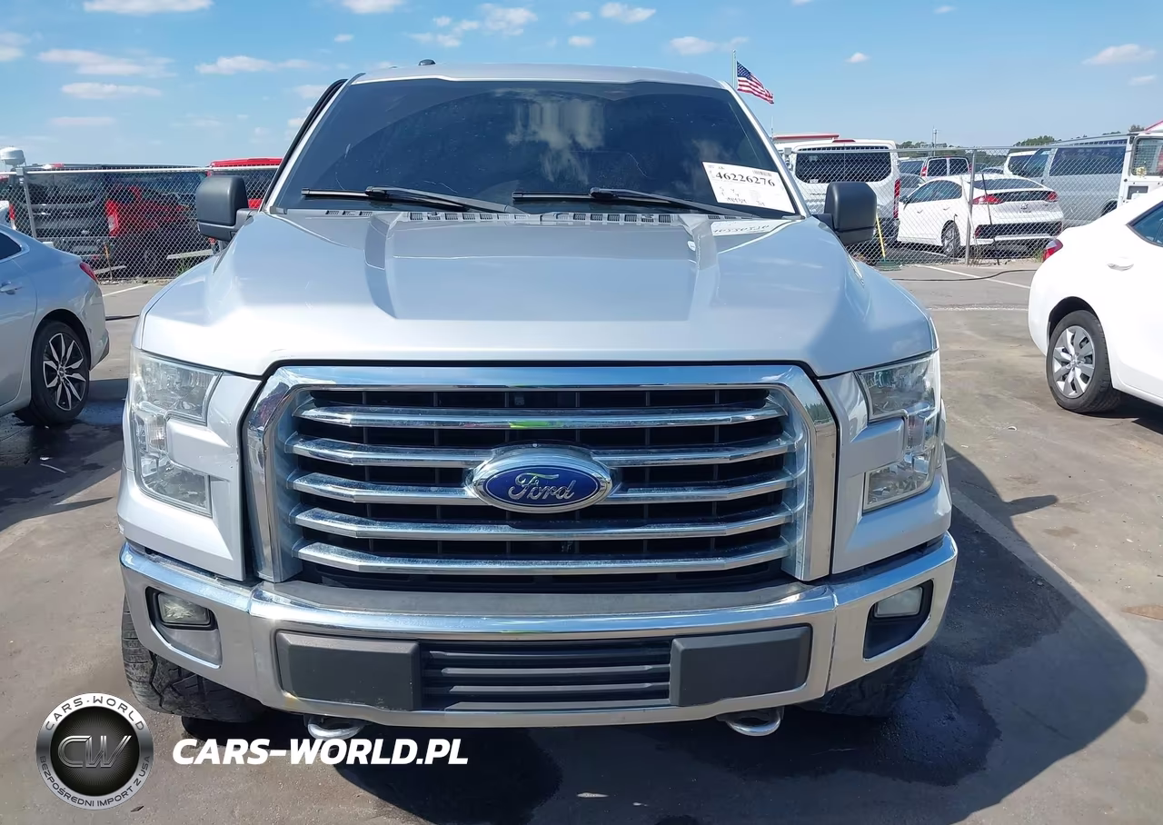 2015 Ford F-150 Xlt VIN:1FTFX1EF3FFC76073 - 12