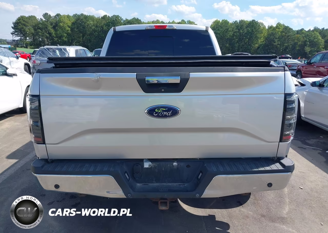 2015 Ford F-150 Xlt VIN:1FTFX1EF3FFC76073 - 16