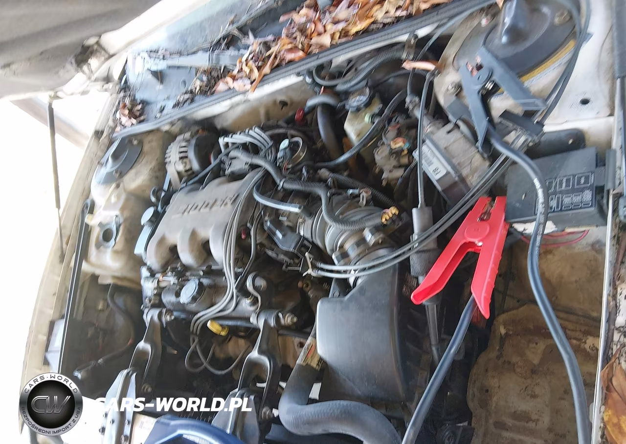 2000 Chevrolet Lumina VIN:2G1WL52J6Y1172109 - 10