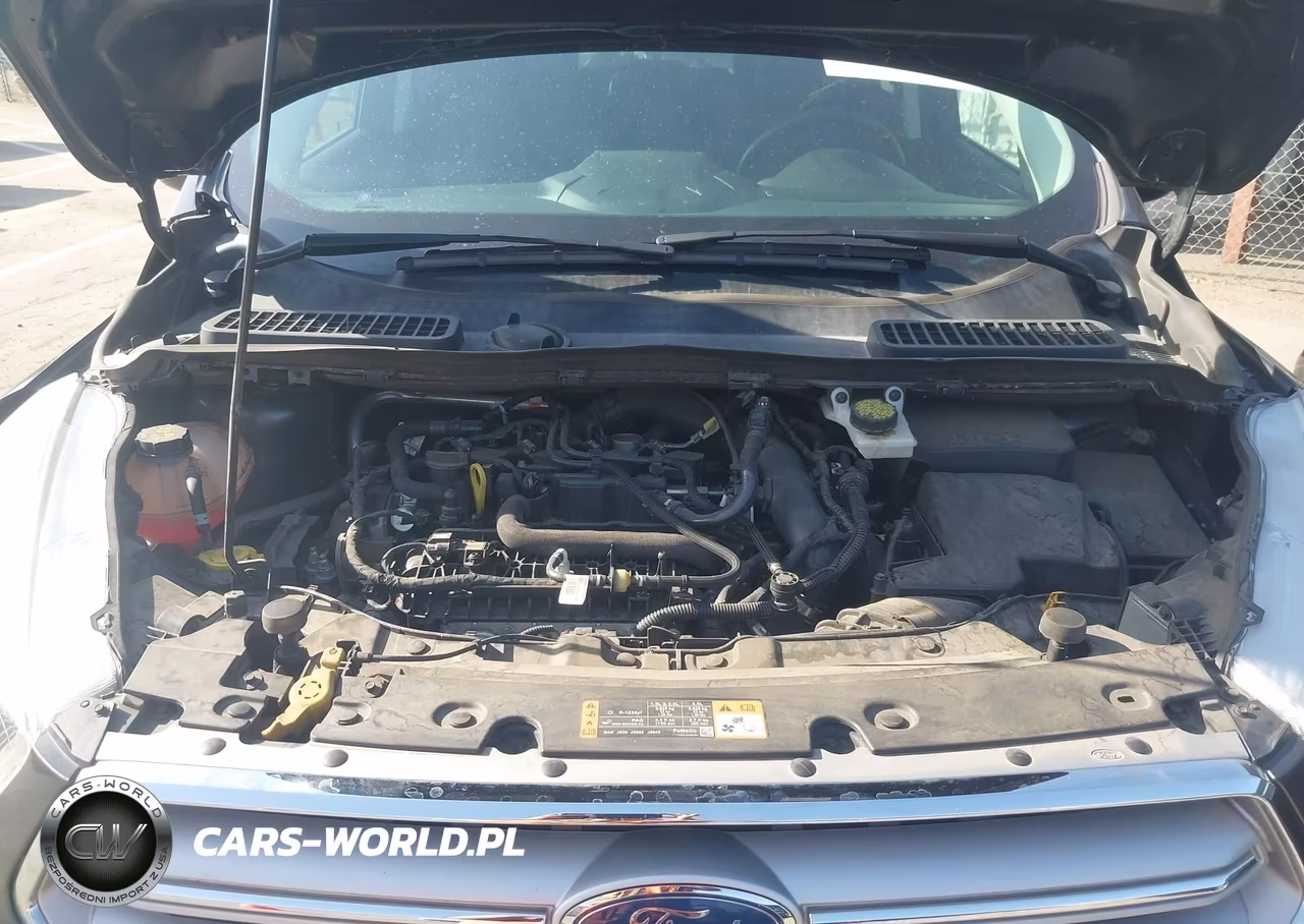 2019 Ford Escape Sel VIN:1FMCU0HD0KUB79656 - 10