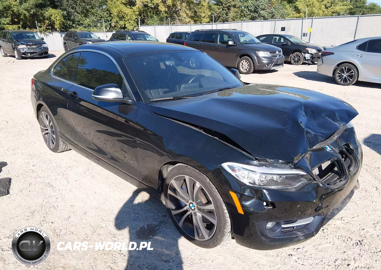 2016 BMW 228I xDrive – zdjęcie 1 z 17