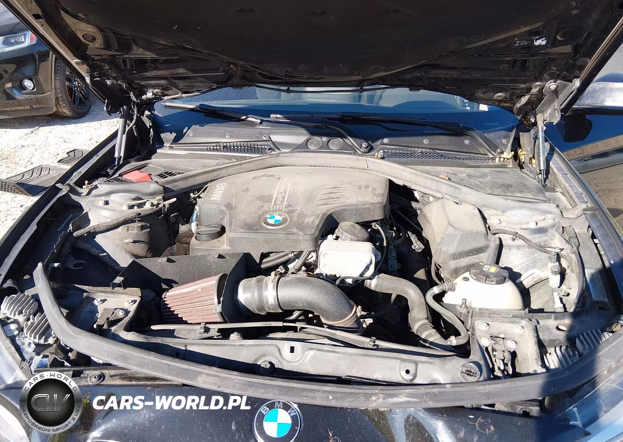 2016 BMW 228I xDrive VIN:WBA1G9C54GVX97133 - 10