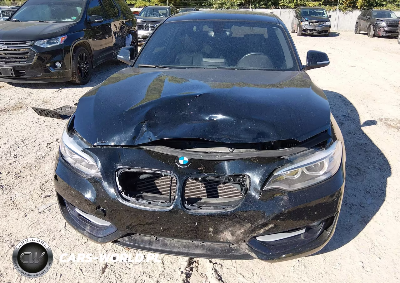 2016 BMW 228I xDrive VIN:WBA1G9C54GVX97133 - 13