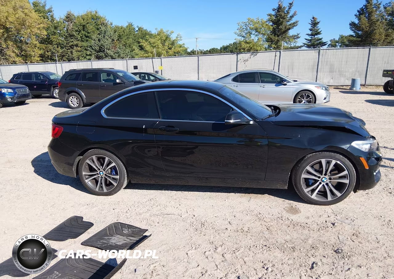 2016 BMW 228I xDrive VIN:WBA1G9C54GVX97133 - 14